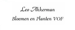 Naar de startpagina
